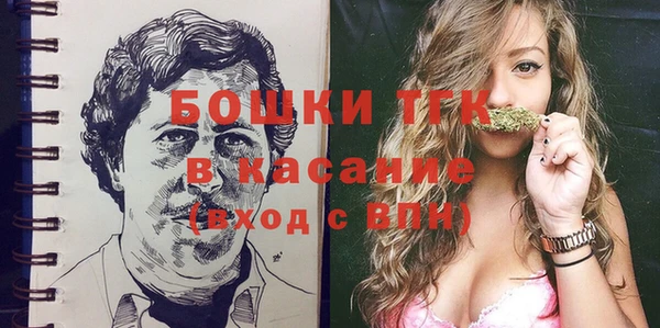 молекула духа Алексеевка