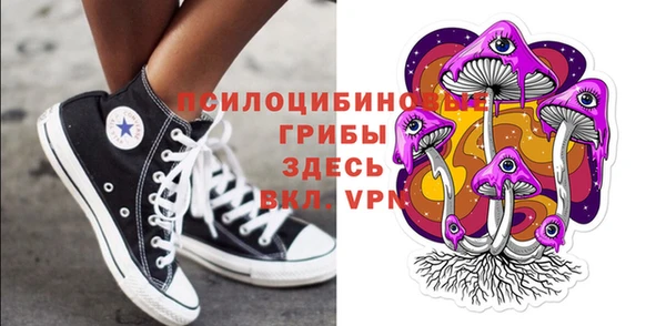 молекула духа Алексеевка