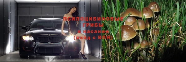прущие крисы Абдулино