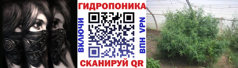 hydra сайт  Бакал  Каннабис LSD WEED 
